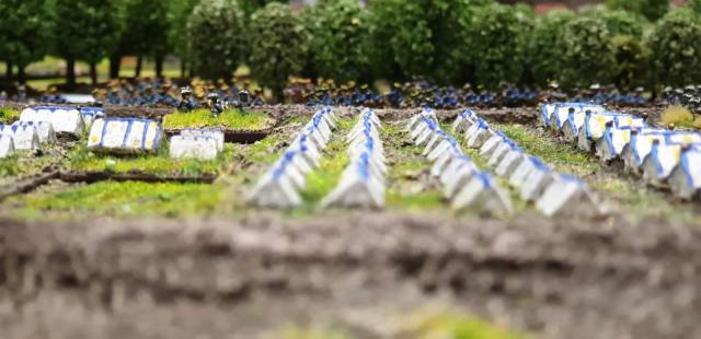 55524157-6126-4210-820b-7aa4f15c274e