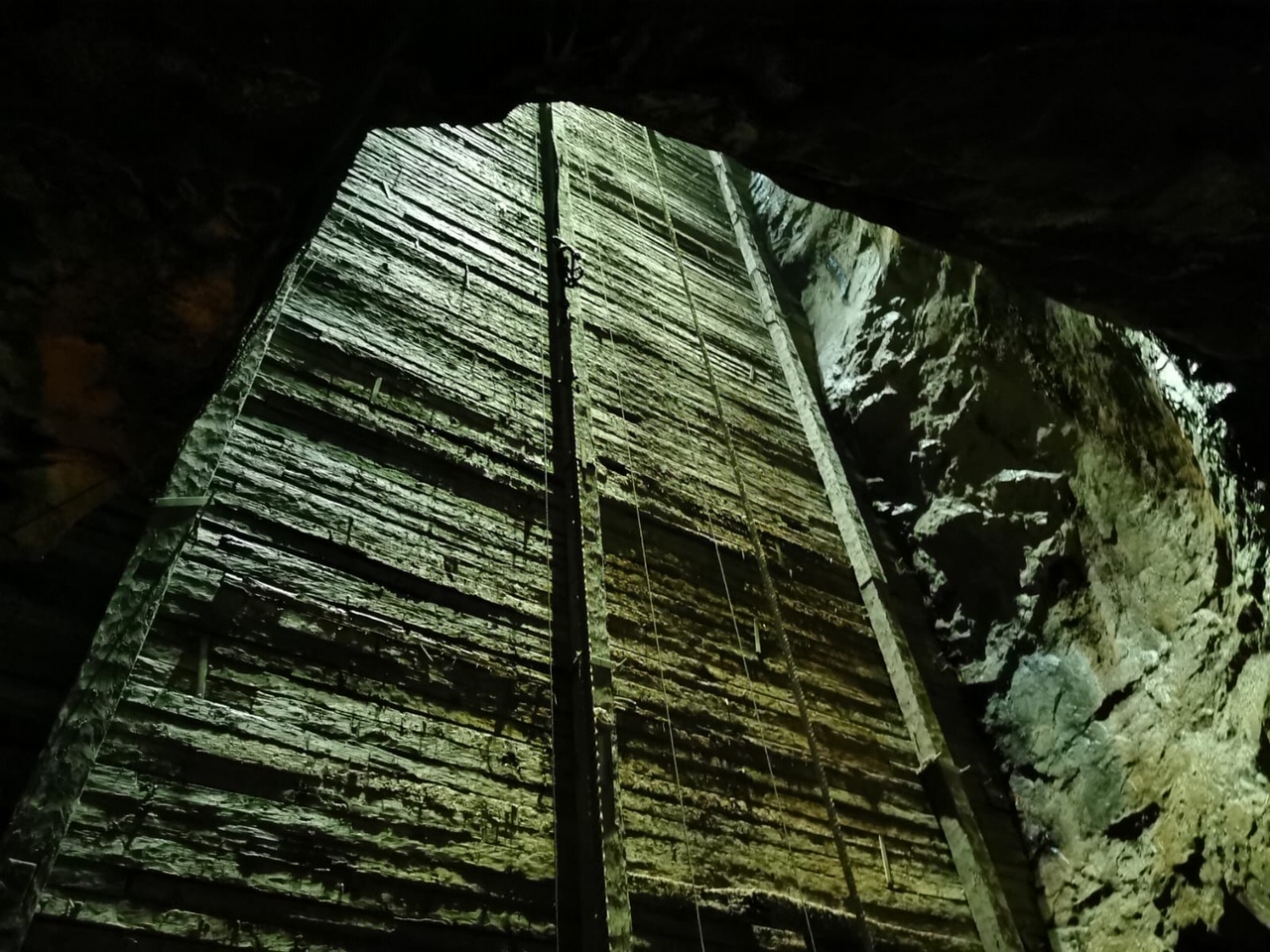 77ddb8e1-579a-468d-818b-d94ca462723a